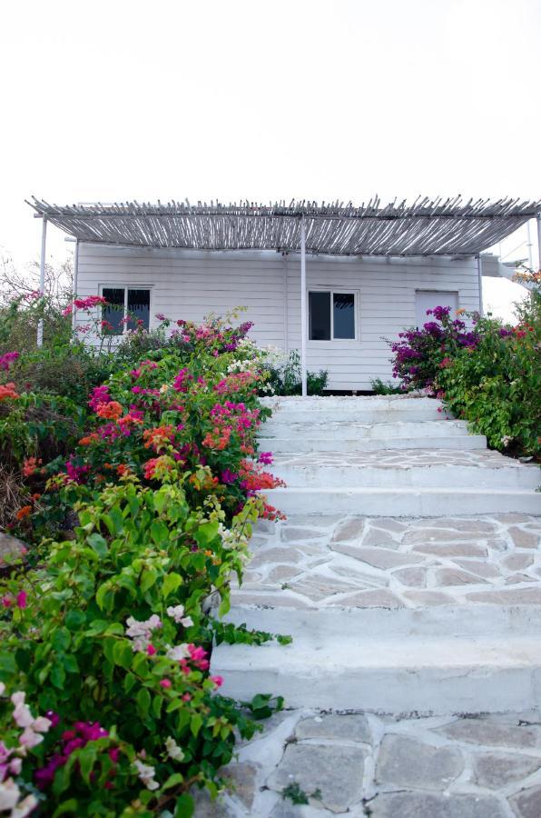 Rustic Vogue Hotel Shamirpet Bagian luar foto